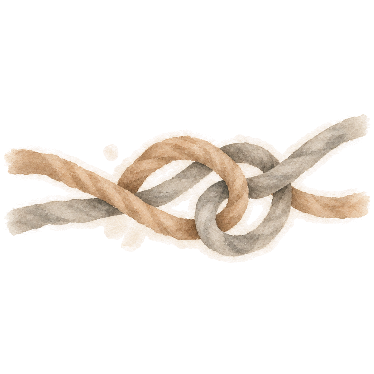 Watercolour of two differently coloured ropes joined in a knot.