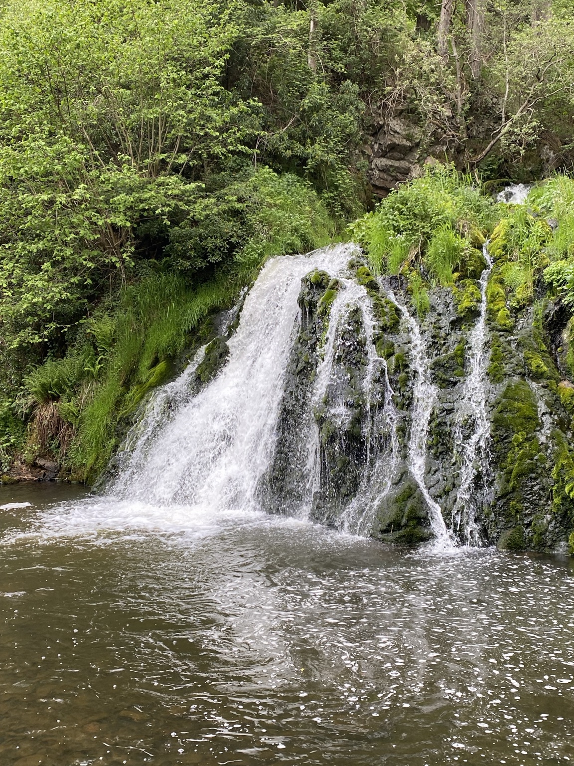 A waterfall descending into a pool surrounded by green vegetation.